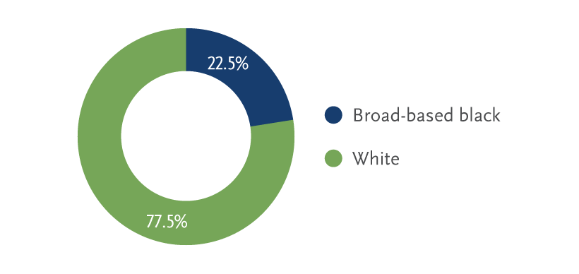 South Africa CFO Ethnicity